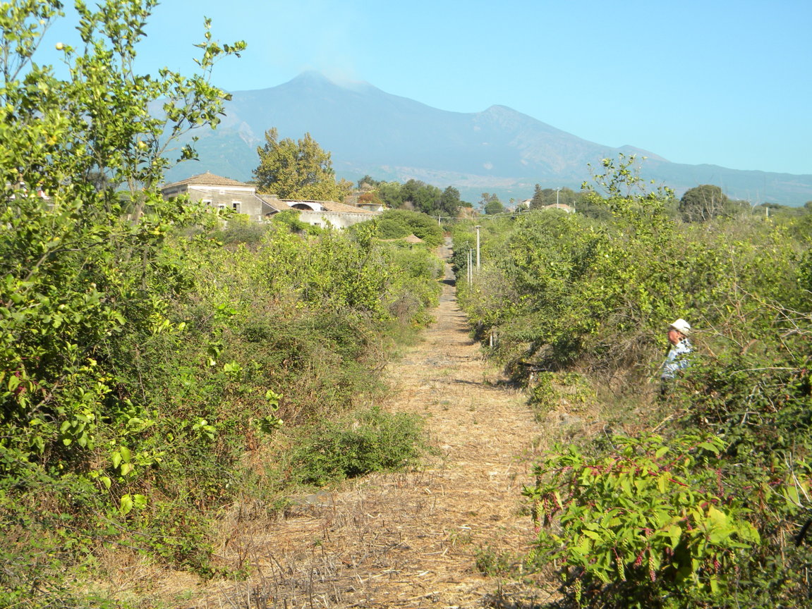 DSCN8152 .JPG